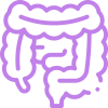 intestines intestines